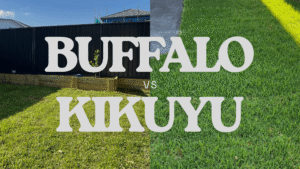 Buffalo vs Kikuyu turf